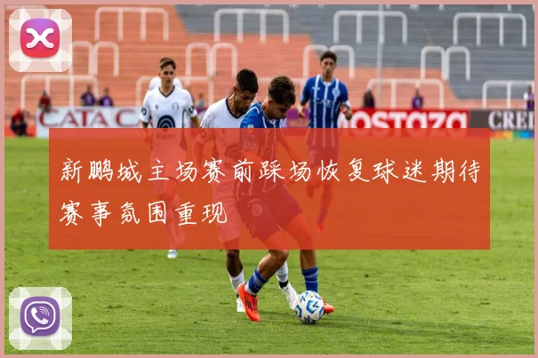 新鹏城主场赛前踩场恢复球迷期待赛事氛围重现