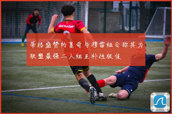 蒂格盛赞约基奇与穆雷组合称其为联盟最强二人组互补性极佳
