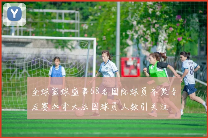 全球篮球盛事68名国际球员齐聚季后赛加拿大法国球员人数引关注